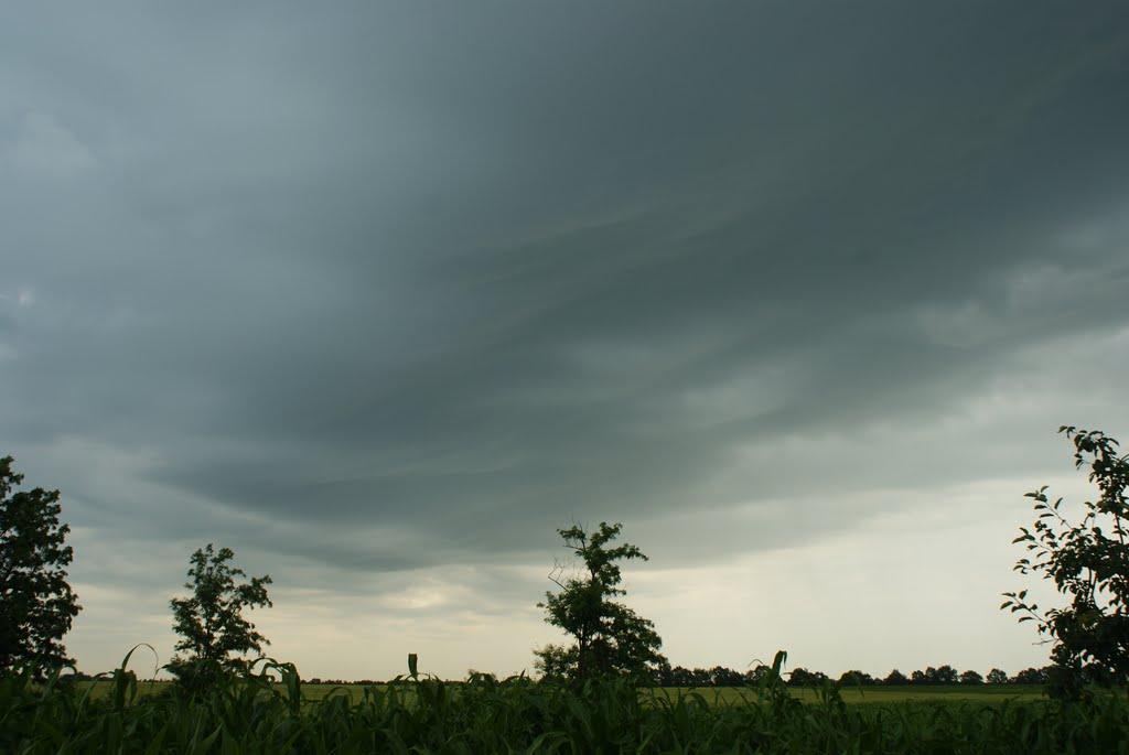 Чемерпіль з panoramio.com - Чемерполь