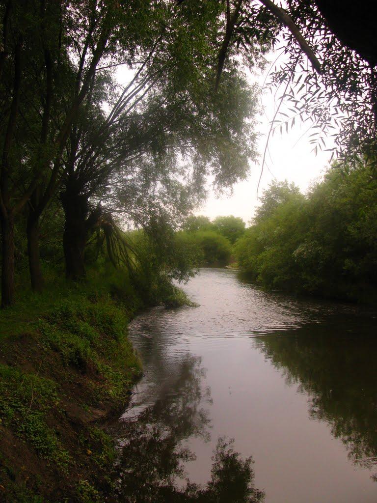 Вовчківці з panoramio.com - Vovchkivtsi