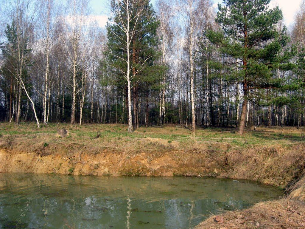 Рудка-Червинська з panoramio.com - Рудка-Червинська