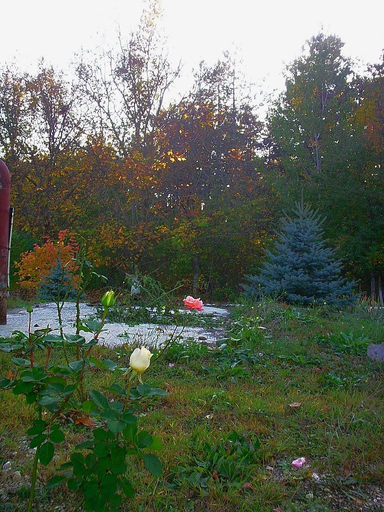 Голубинка з panoramio.com - Golubynka