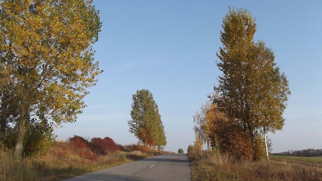 Чаруків з panoramio.com