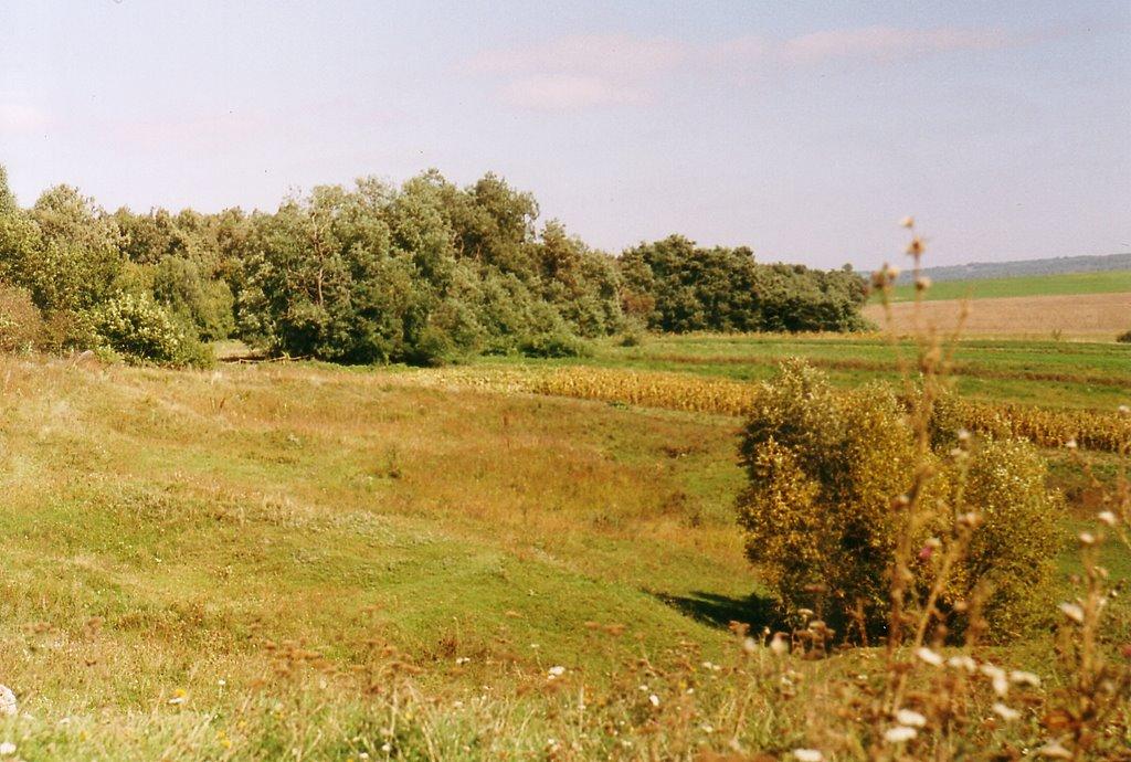 Обухів з panoramio.com - Обухів