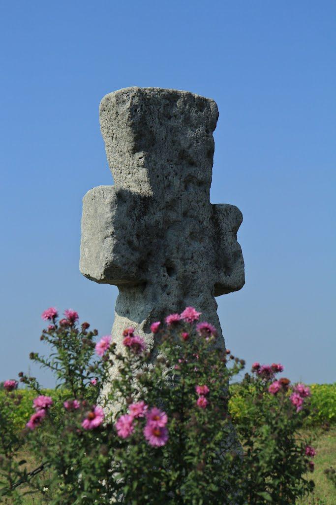 Копачів з panoramio.com - Копачів