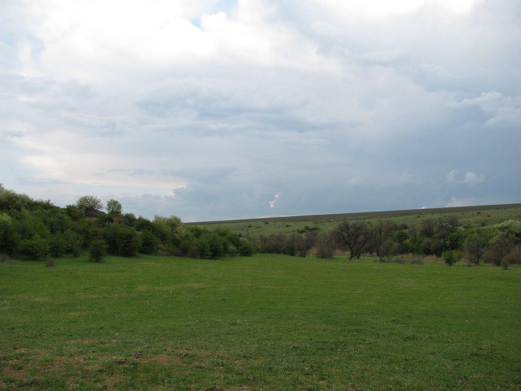 Маложенівка з panoramio.com - Маложенівка