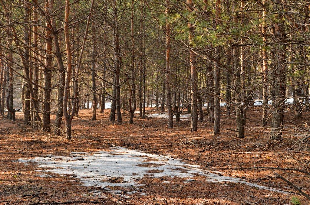 Бахметівка з panoramio.com