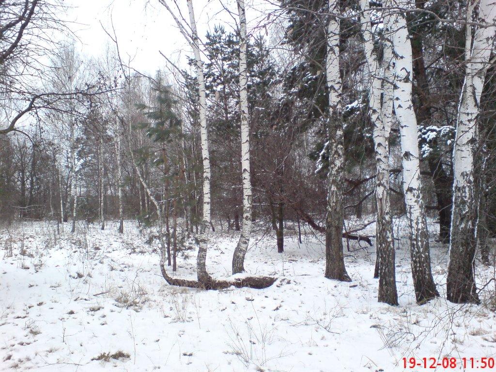 Гута з panoramio.com - Гута