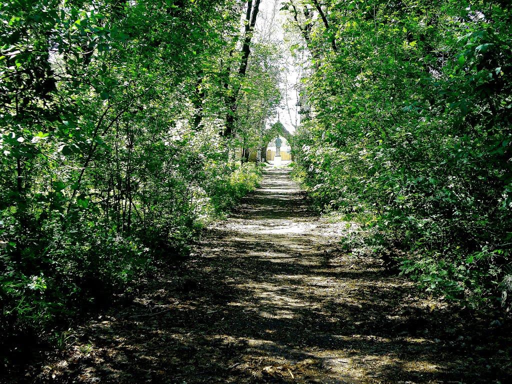Селезнівка з panoramio.com - Селезневка