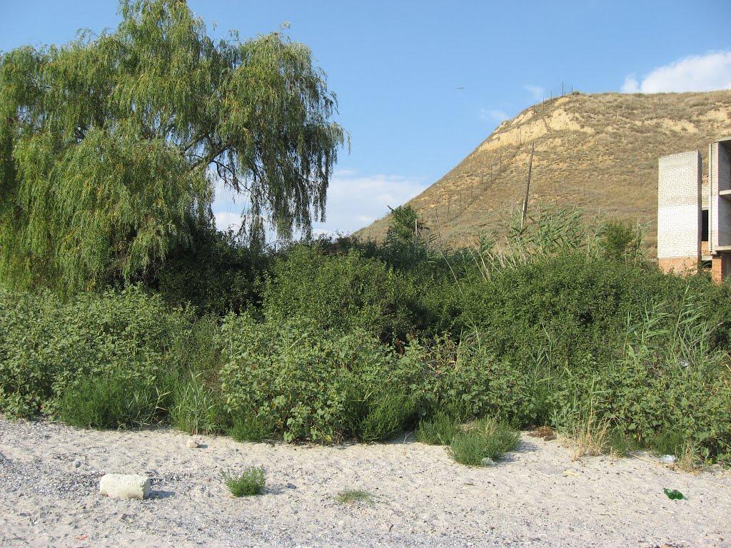 Морське з panoramio.com - Морське