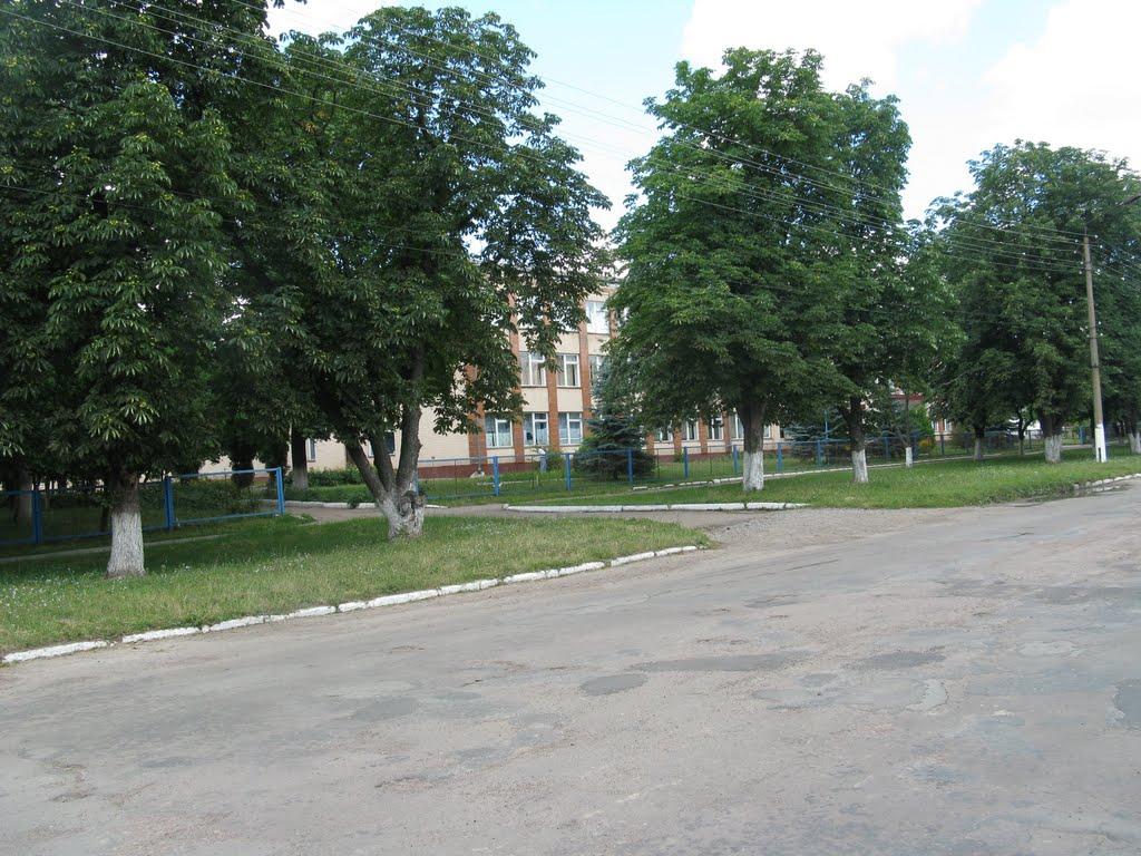 Срібне з panoramio.com - Сребное