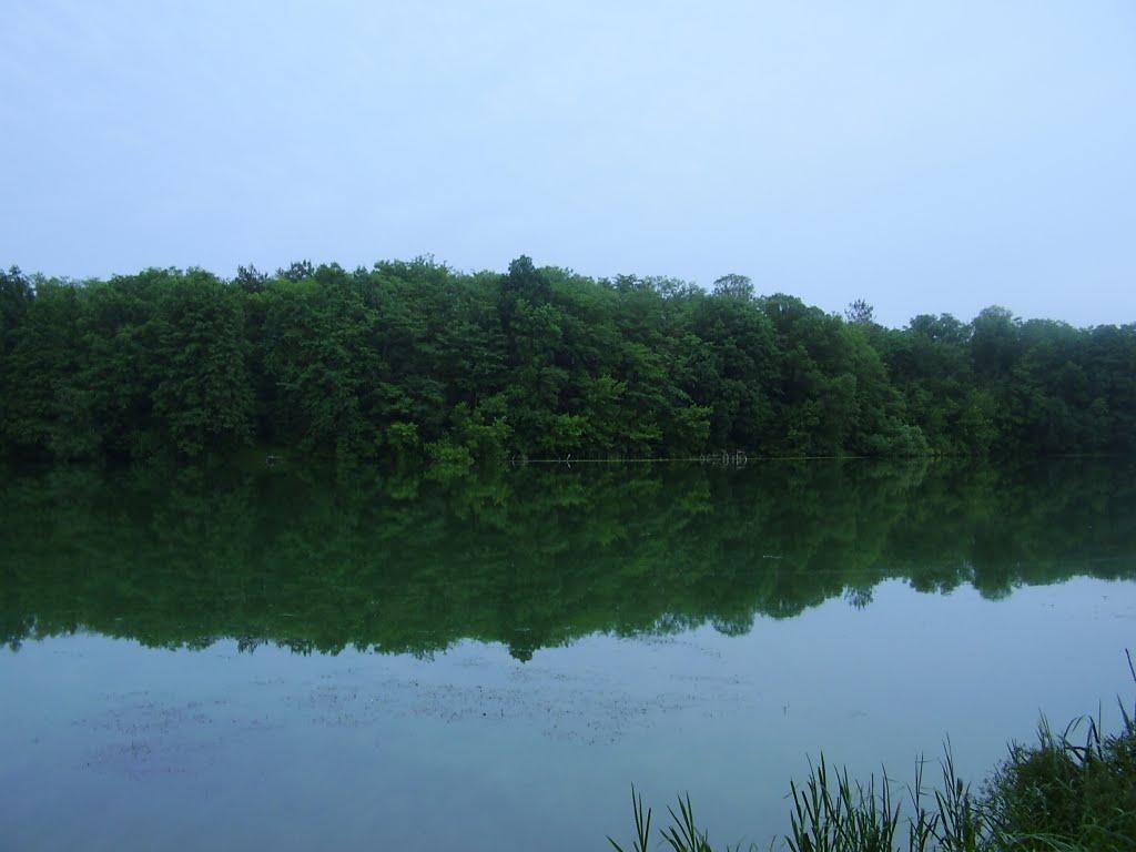 Неморож з panoramio.com - Неморож