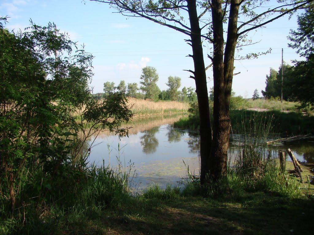 Свидівок з panoramio.com - Свидовок
