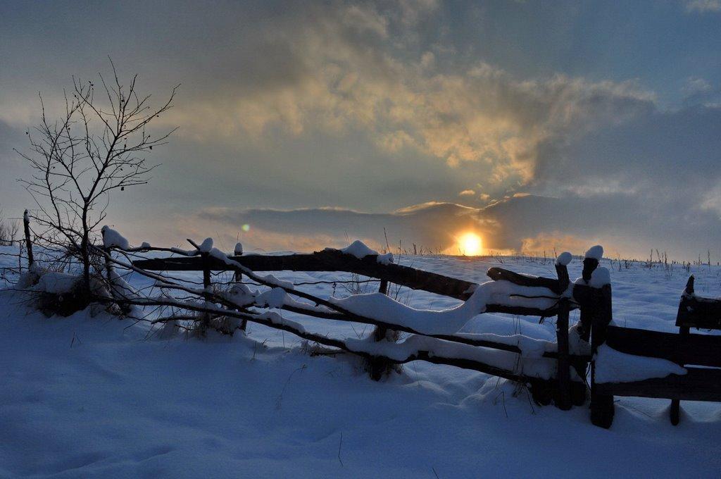 Перегінське з panoramio.com - Перегинское