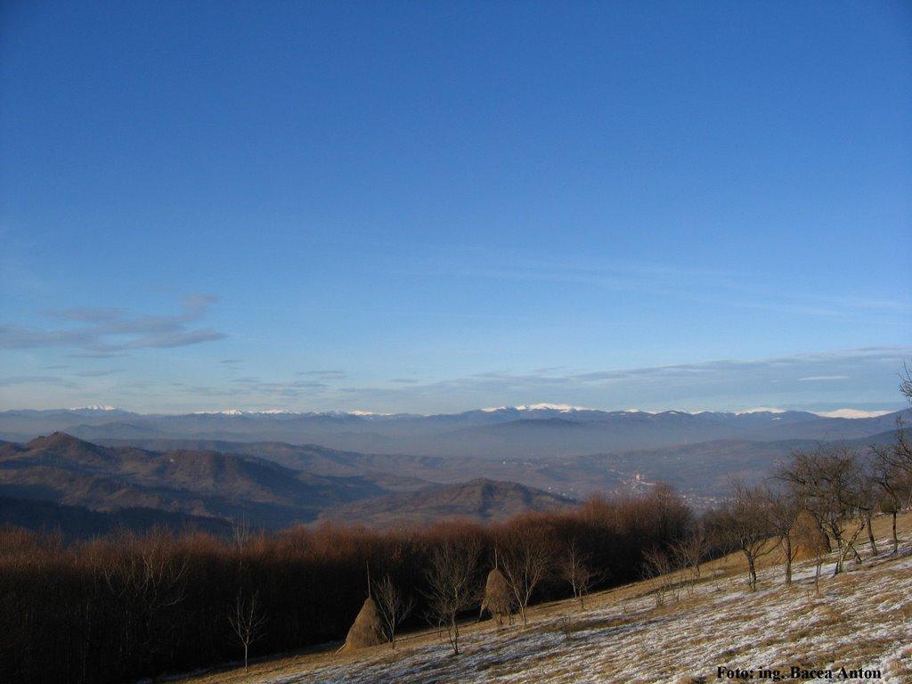 Великий Бичків з panoramio.com - Великий Бичків