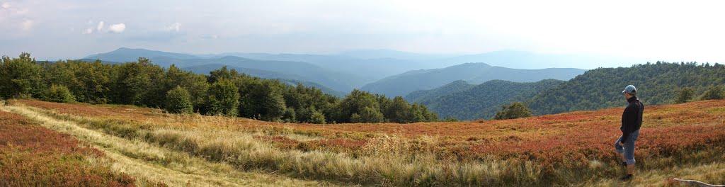 Потік з panoramio.com - Потік
