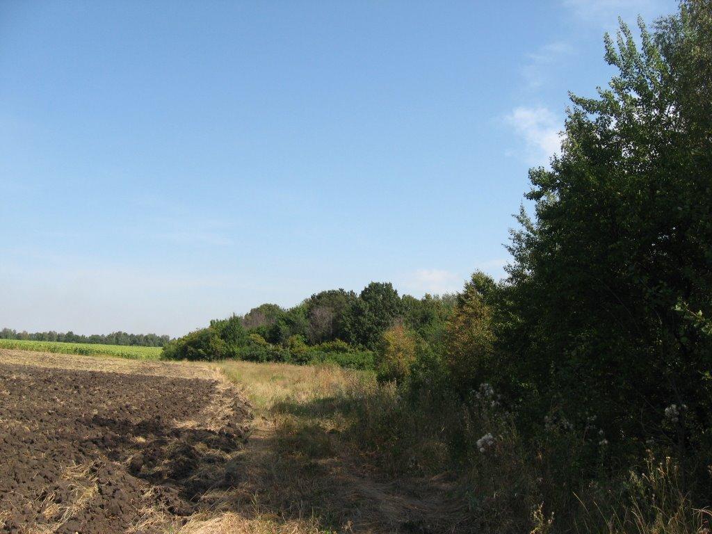 Мирошниківка з panoramio.com - Мирошниківка