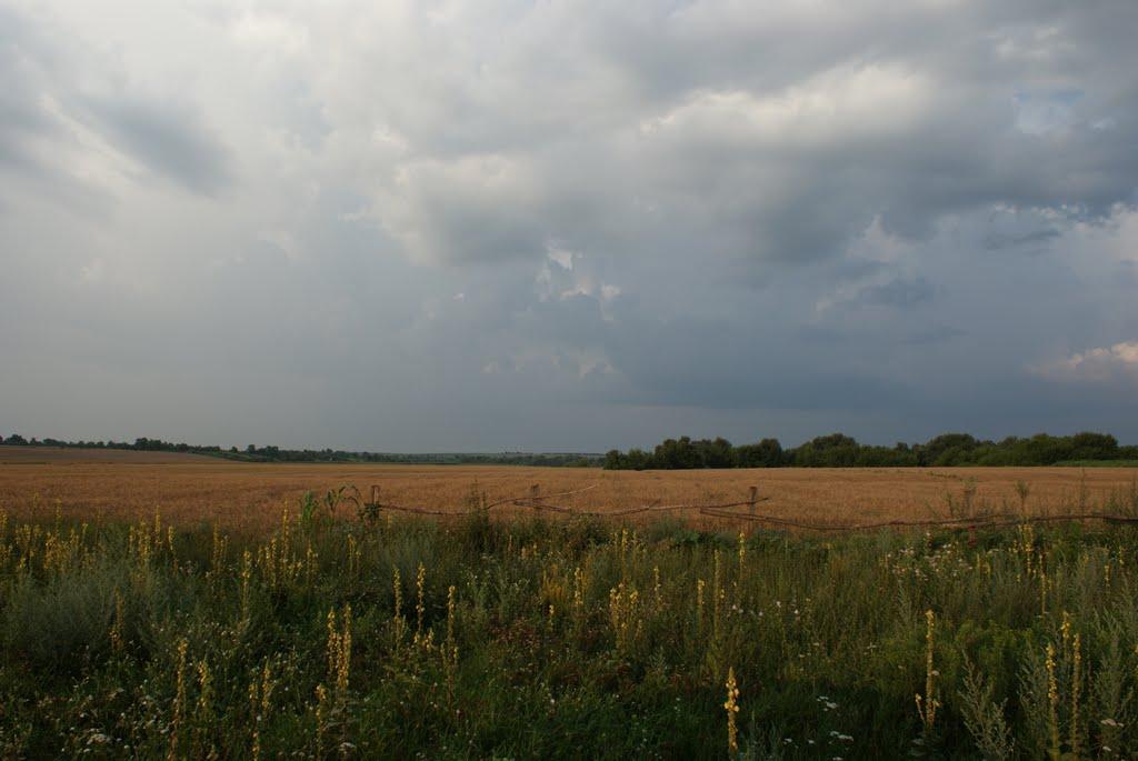 Чемерпіль з panoramio.com - Чемерпіль