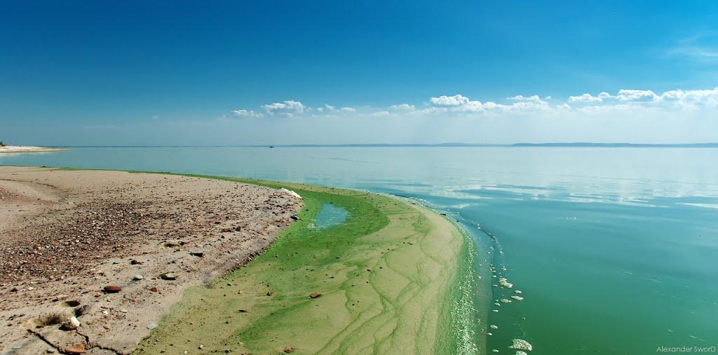 Максимівка з panoramio.com - Максимівка