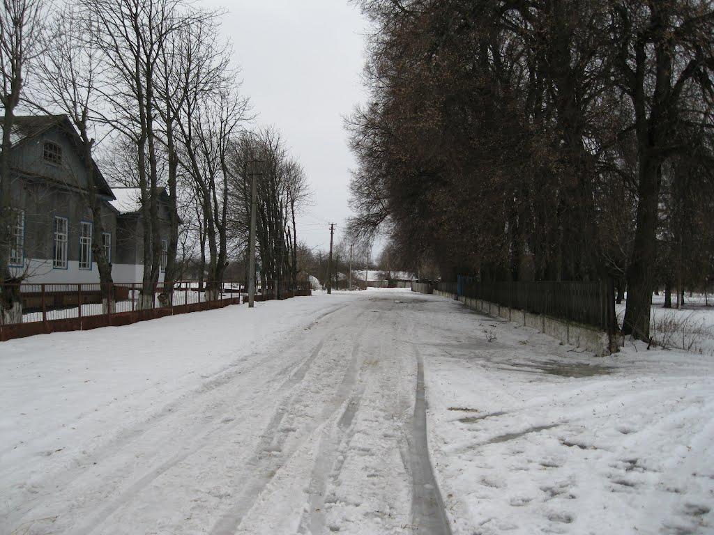 Ушня з panoramio.com - Ушня