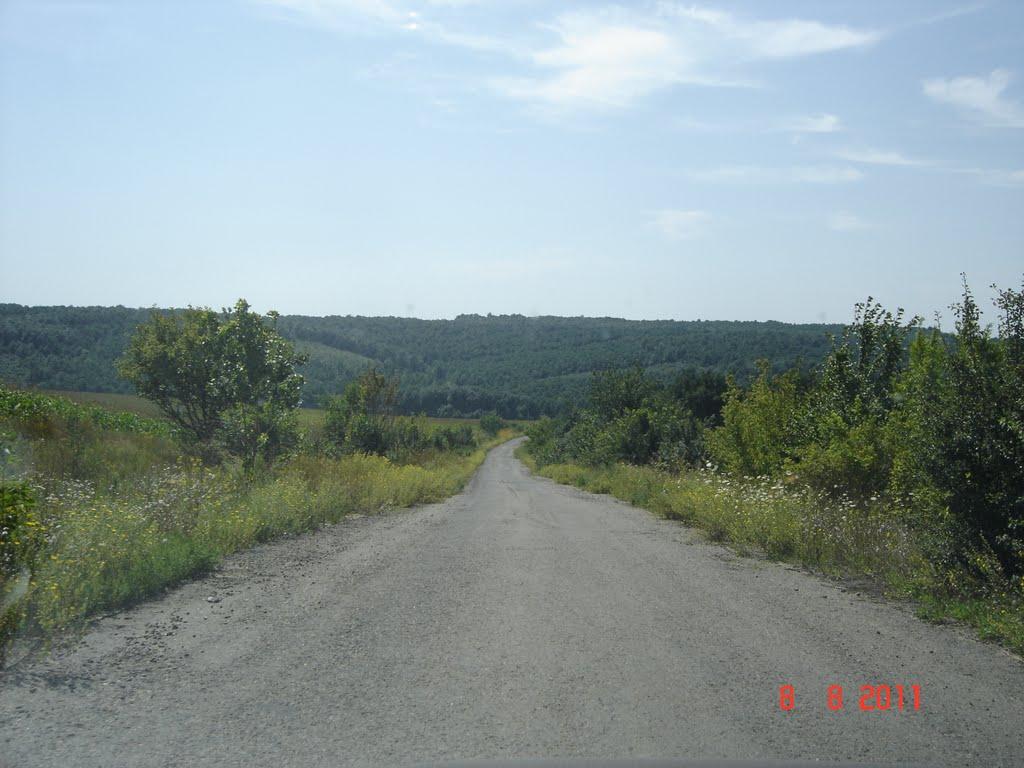 Дібрівка з panoramio.com - Дібрівка