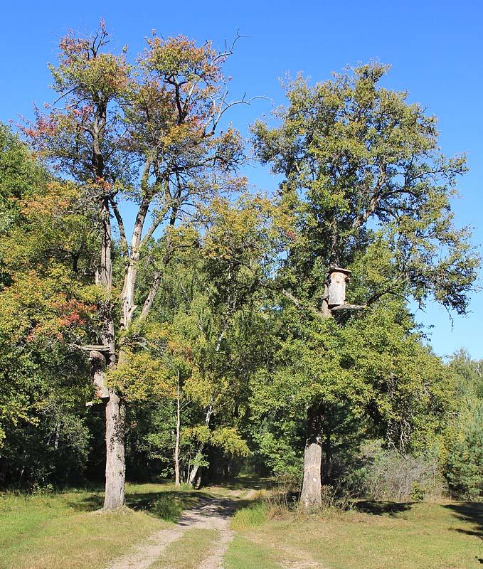 Озерці з panoramio.com - Озерці