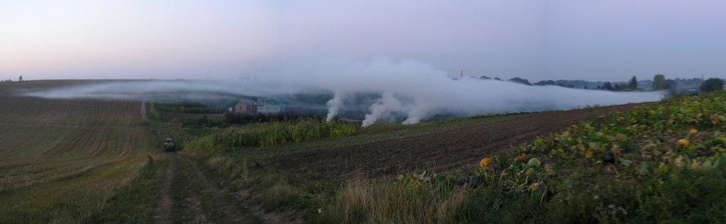 Городище з panoramio.com - Городище