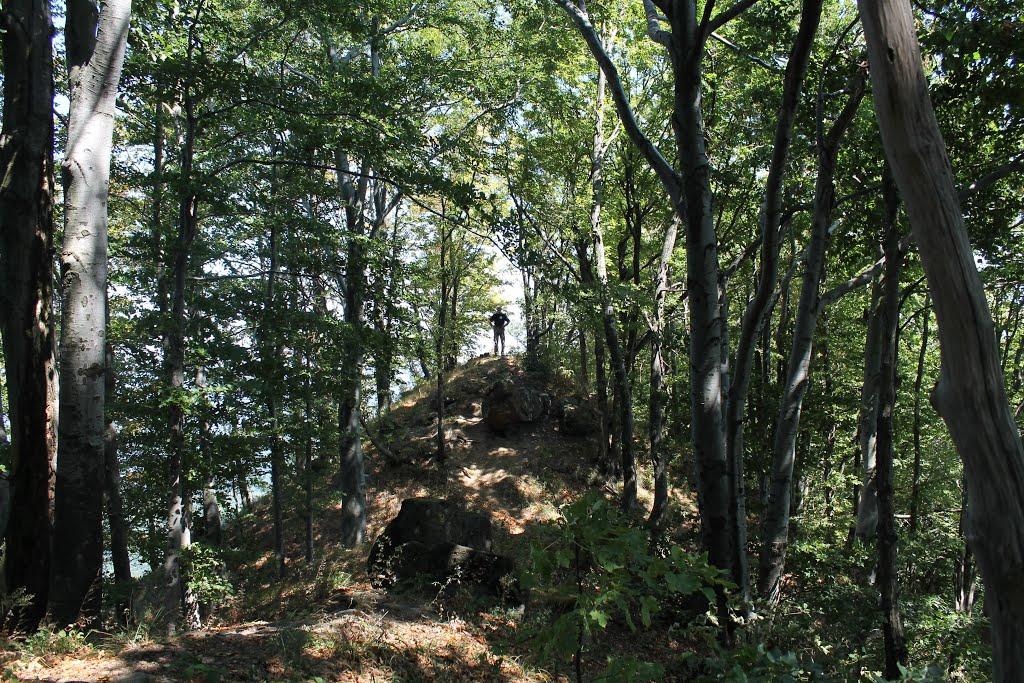 Ворочово з panoramio.com - Ворочово