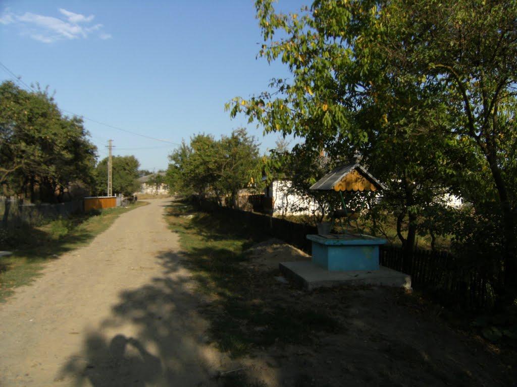 Могилівка з panoramio.com - Могилевка