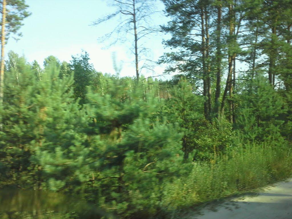 Яполоть з panoramio.com - Яполоть