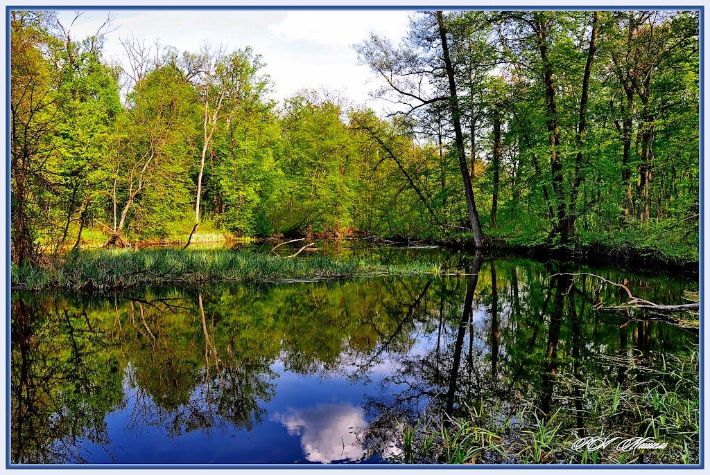 Серебрянка з panoramio.com - Серебрянка