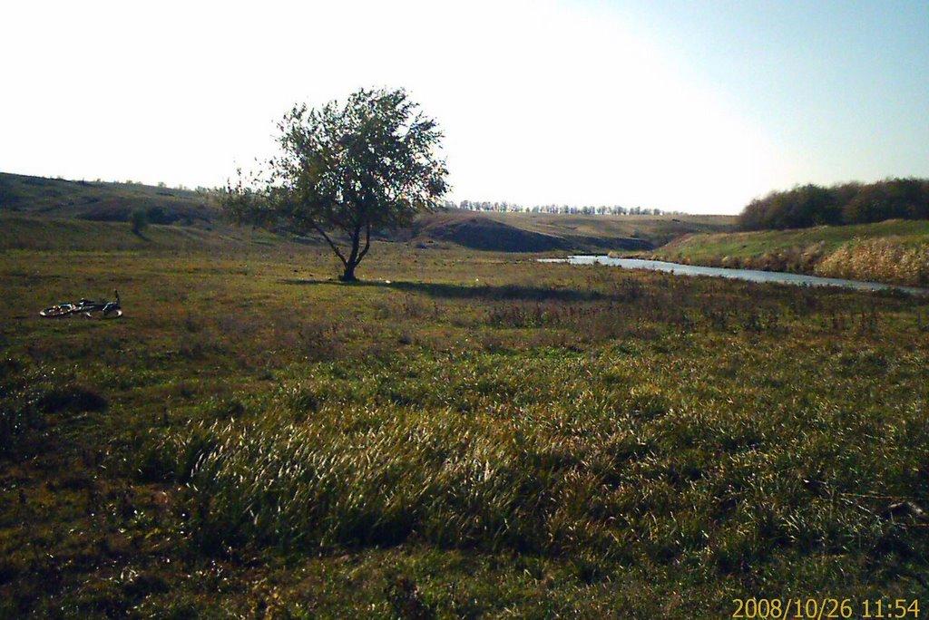 Красний Октябр з panoramio.com - Красний Октябр