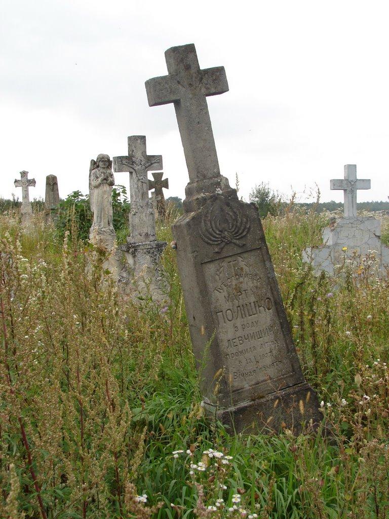 Перемисловичі з panoramio.com - Перемисловичі