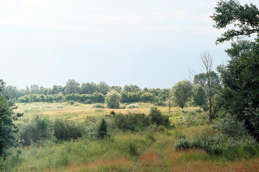 Могилів з panoramio.com - Могилев