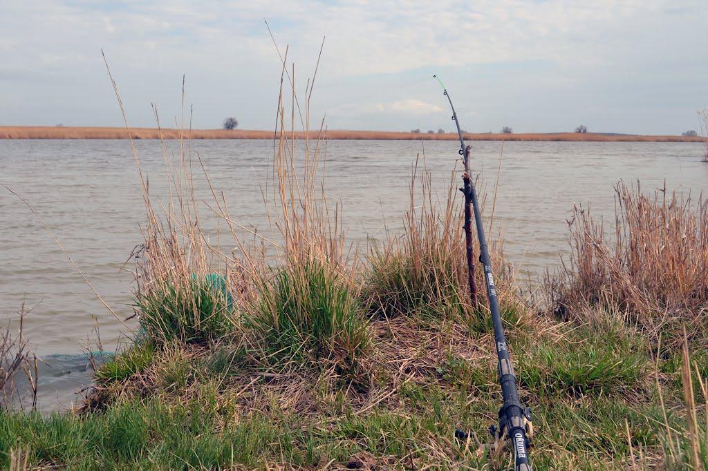 Дарівка з panoramio.com - Дарівка