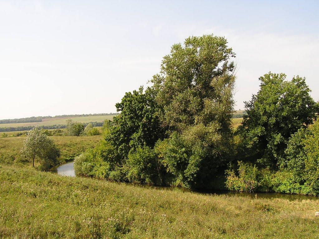 Дронівка з panoramio.com - Дроновка