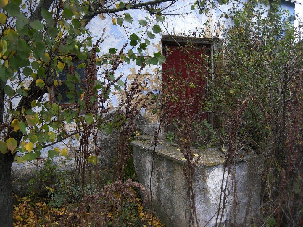 Благоєве з panoramio.com - Благоєве