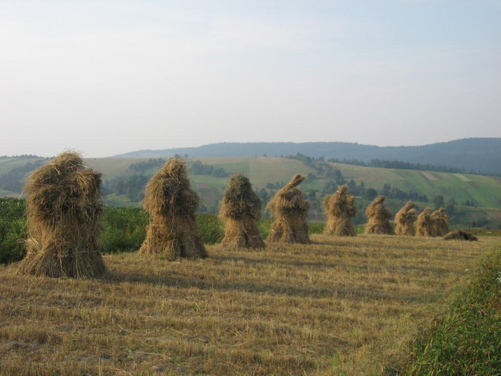 Волошиново з panoramio.com - Волошиново
