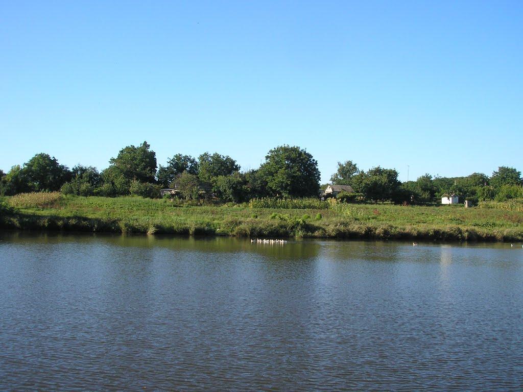 Мала Помічна з panoramio.com - Мала Помічна