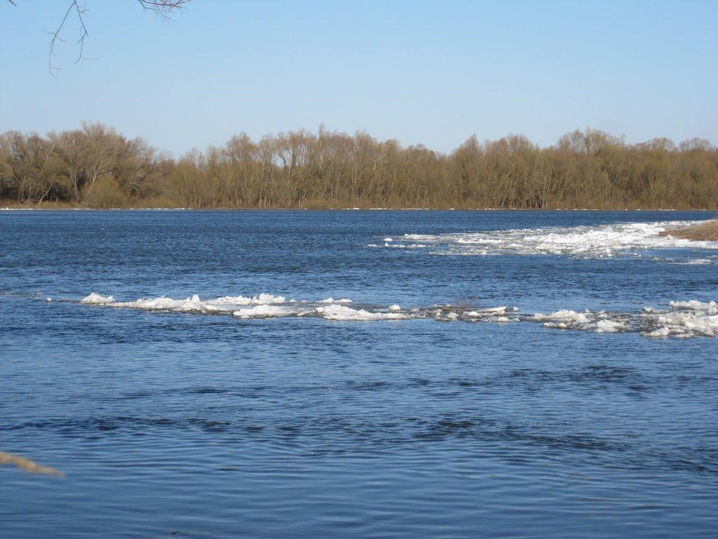 Ушня з panoramio.com - Ушня