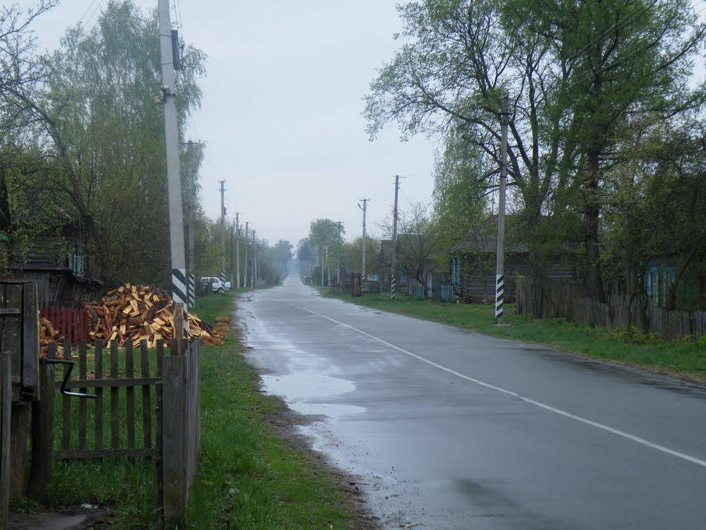 Залізний Міст з panoramio.com - Залізний Міст