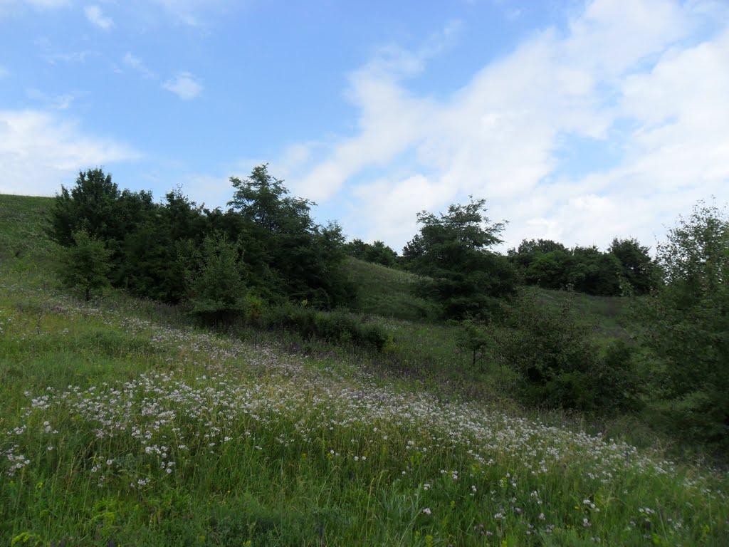 Опішня з panoramio.com - Opishnya