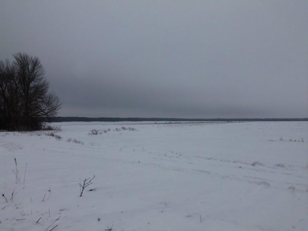 Жовтневе з panoramio.com - Жовтневое