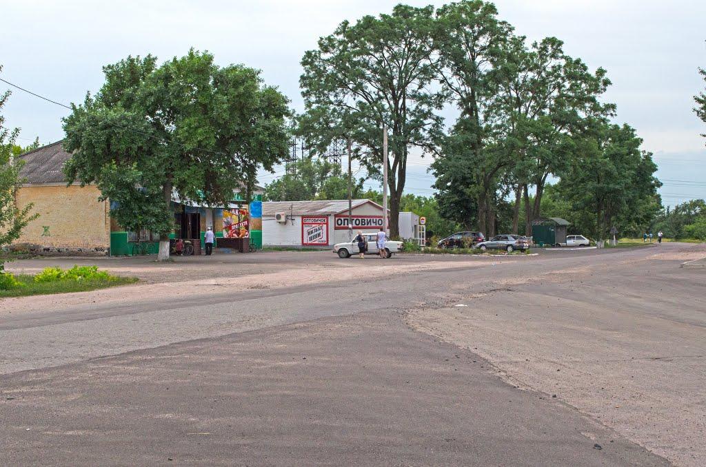 Дмитрівка з panoramio.com - Дмитрівка