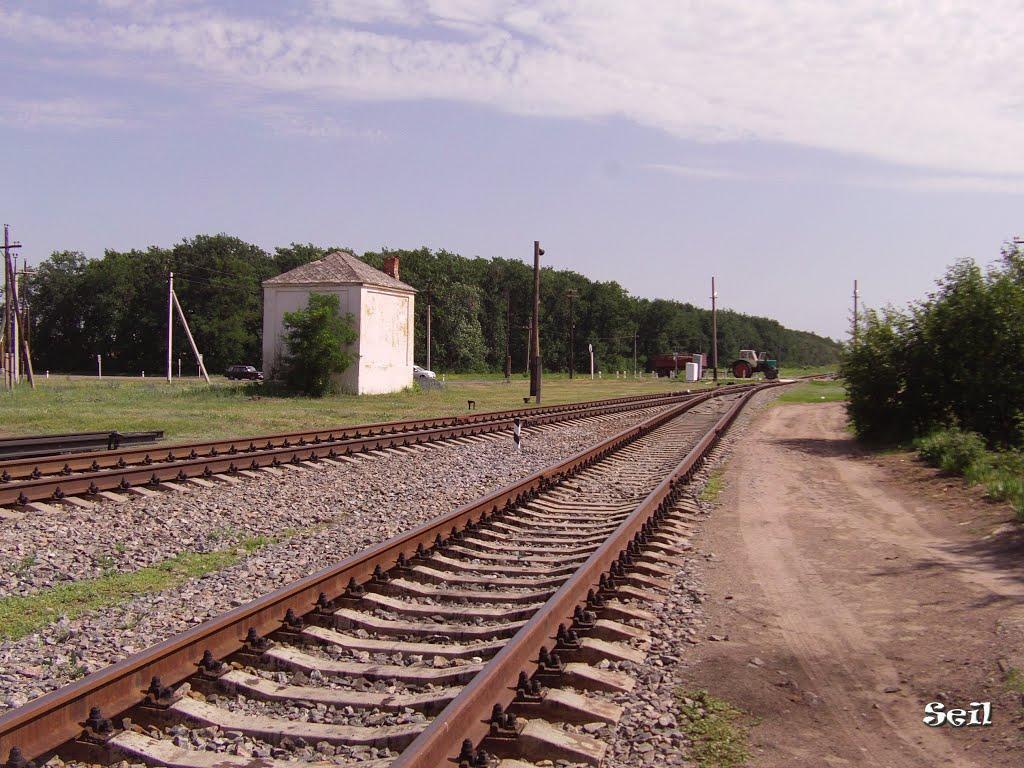 Покровське з panoramio.com - Покровське