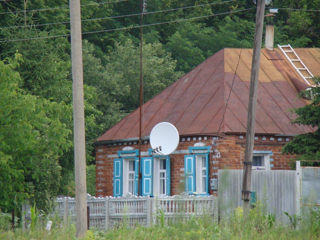 Довжик з panoramio.com - Довжик