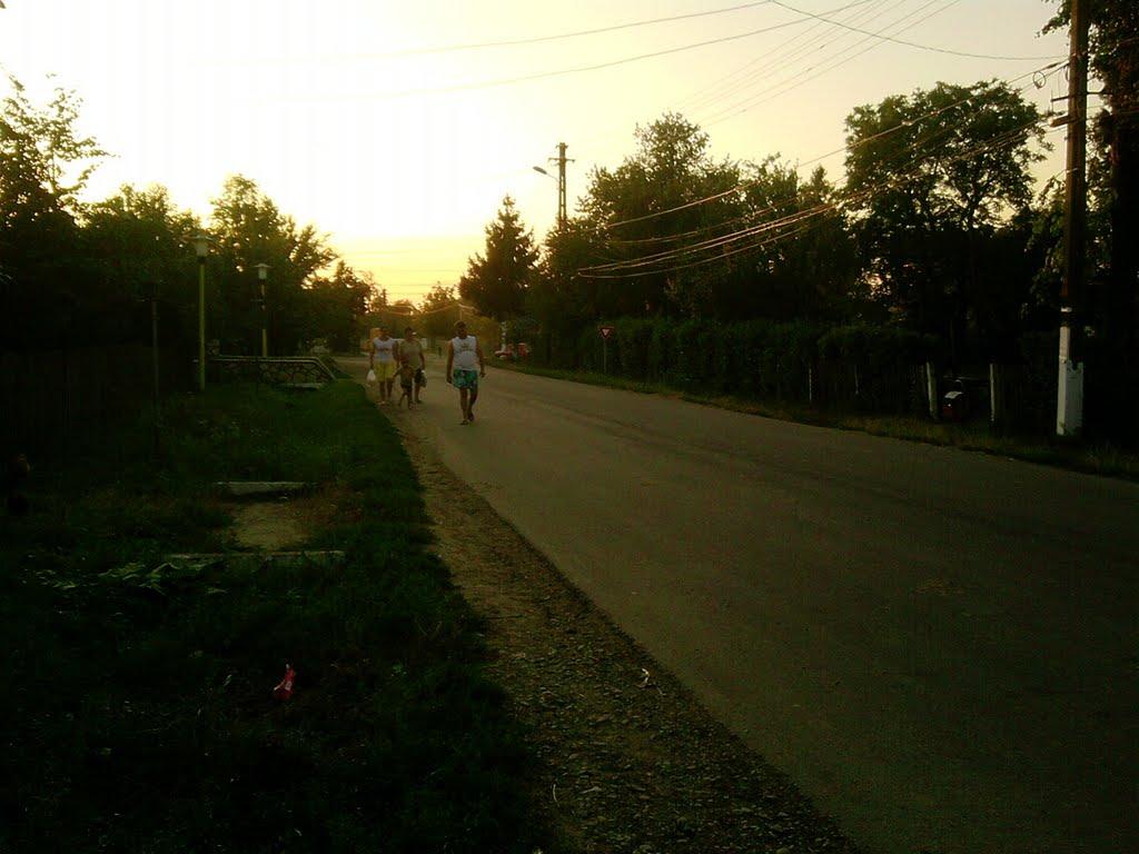 Мамалига з panoramio.com