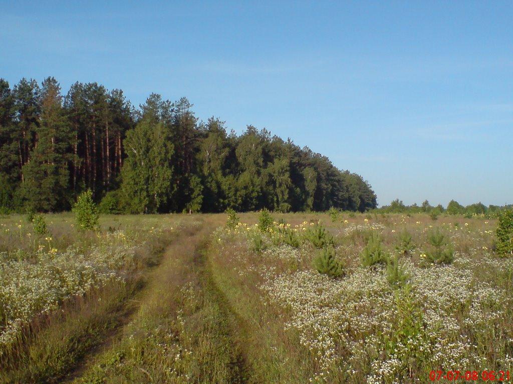 Гукове з panoramio.com - Гукове