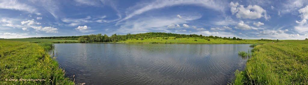 Мшанець з panoramio.com - Мшанець