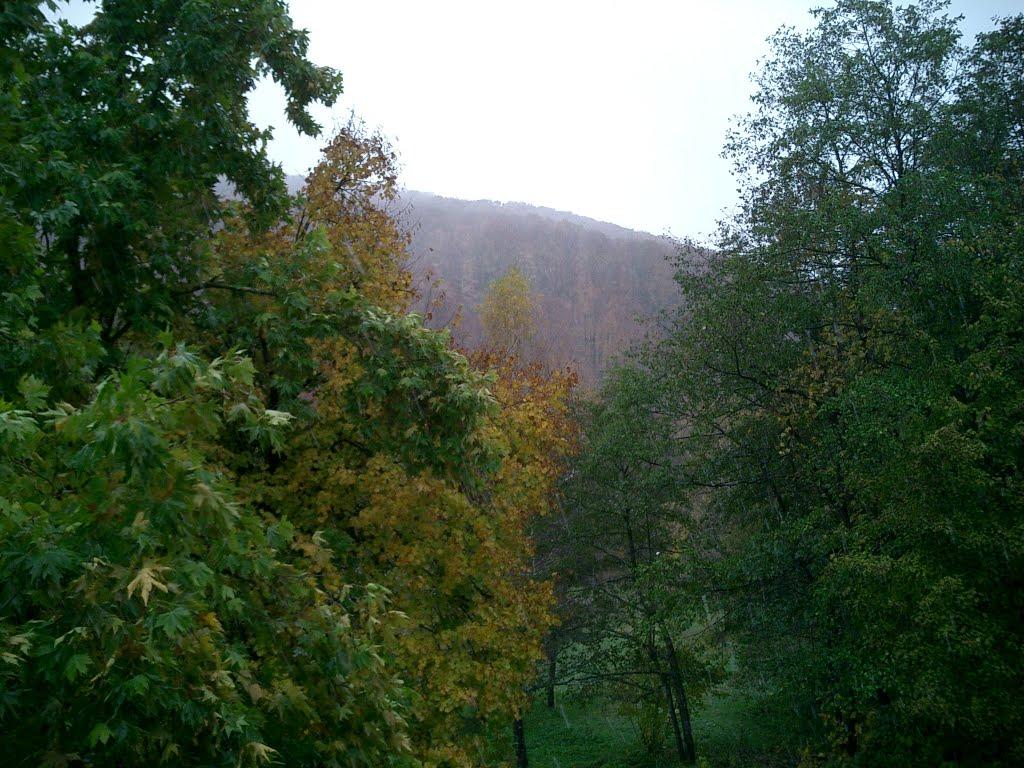 Синяк з panoramio.com - Синяк