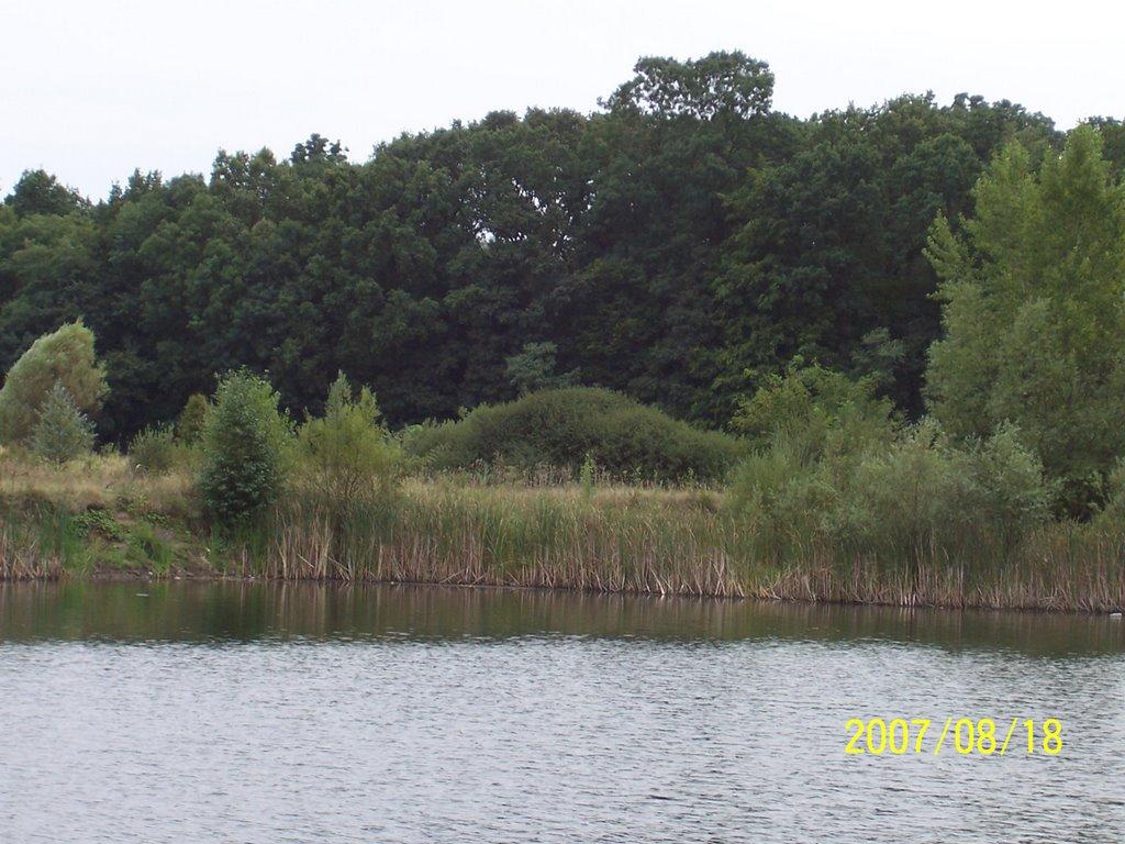 Мале Попово з panoramio.com - Малое Поповое