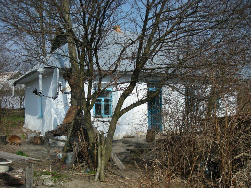 Ялтушків з panoramio.com - Ялтушків